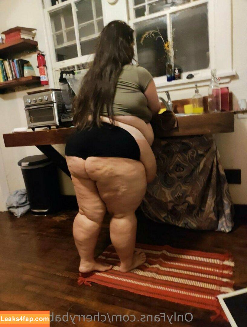 swampgirlssbbw /  leaked photo photo #0069