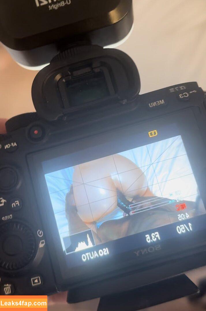 Swedish_vixen / egirl_vixenn leaked photo photo #0017