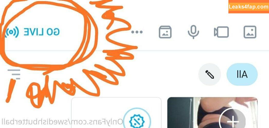 swedishbutterball /  leaked photo photo #0011