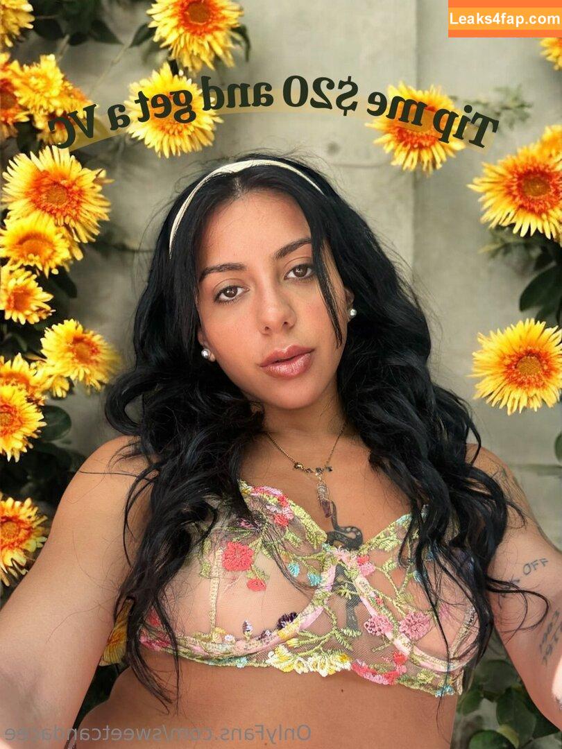 sweetcandacee / capturewithcandace leaked photo photo #0008