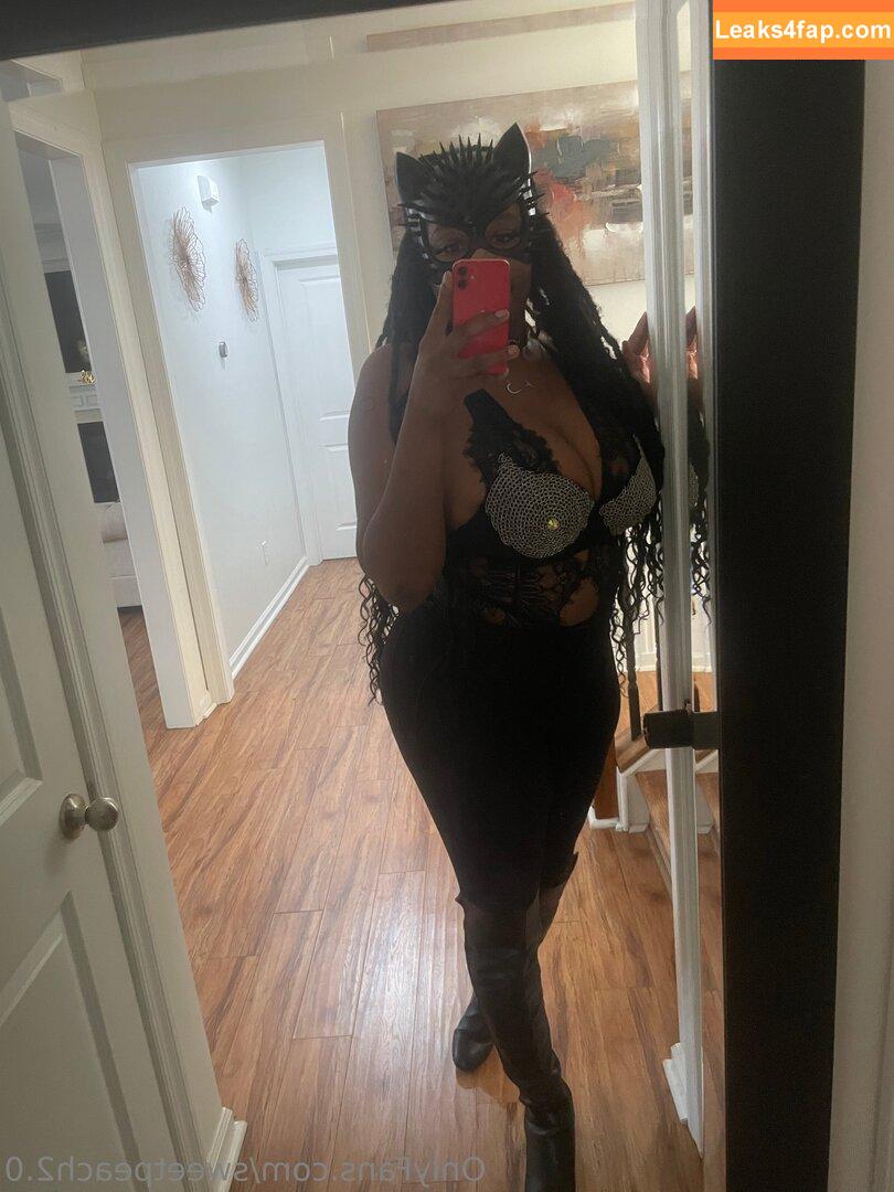 sweetpeach2.0 / sweetpeachart2511 leaked photo photo #0037