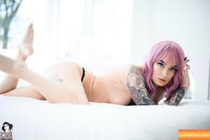 Synatra photo #0065