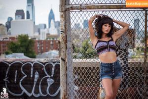 Synatra photo #0115