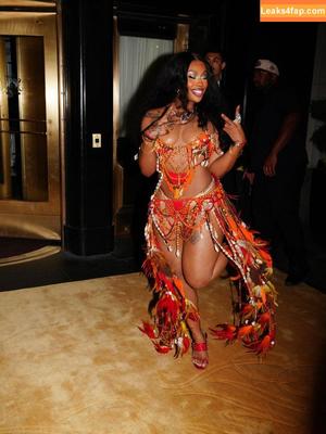 SZA photo #0409