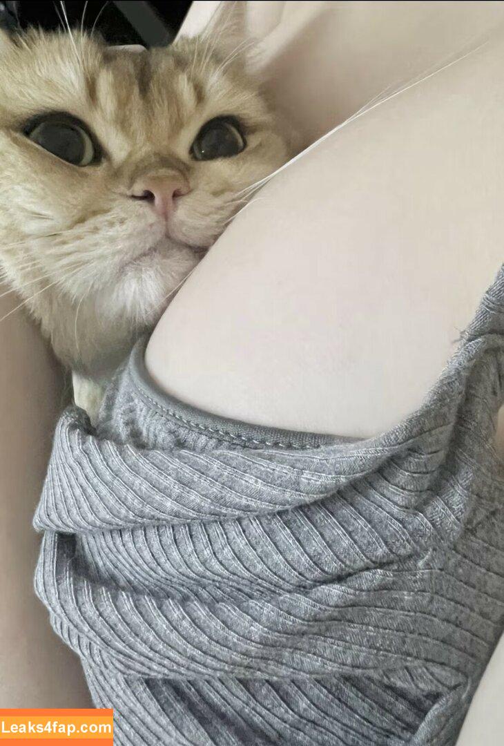 Takomayuyi / https: leaked photo photo #0295