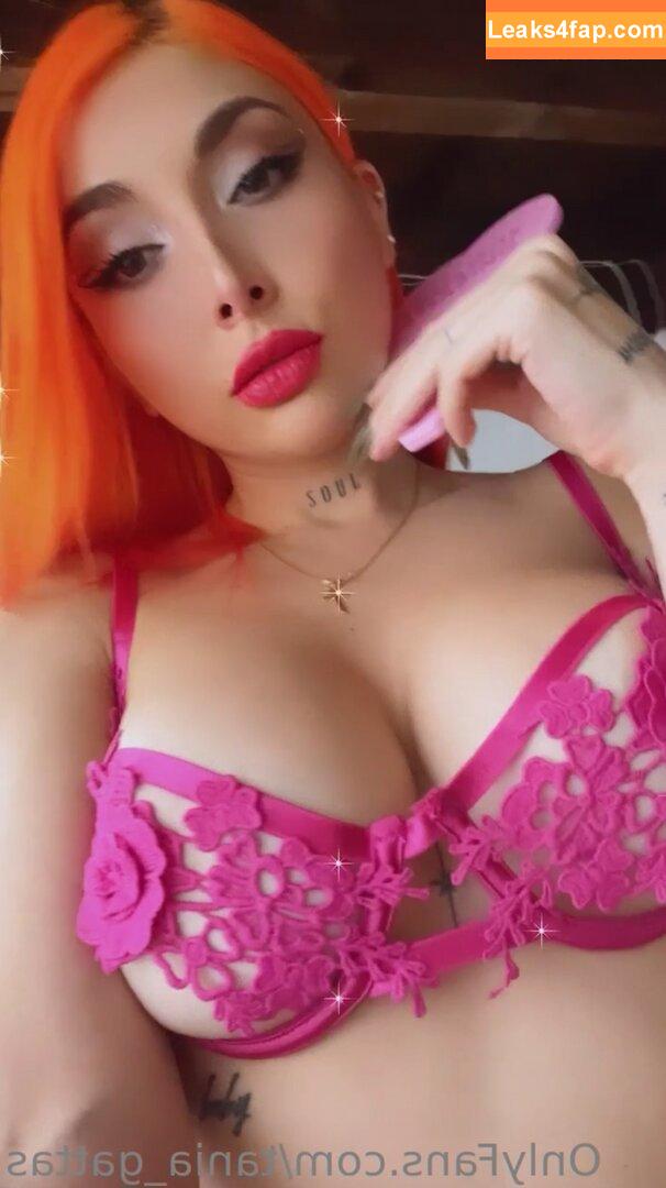 Tania Gattas / taniagattas leaked photo photo #0043