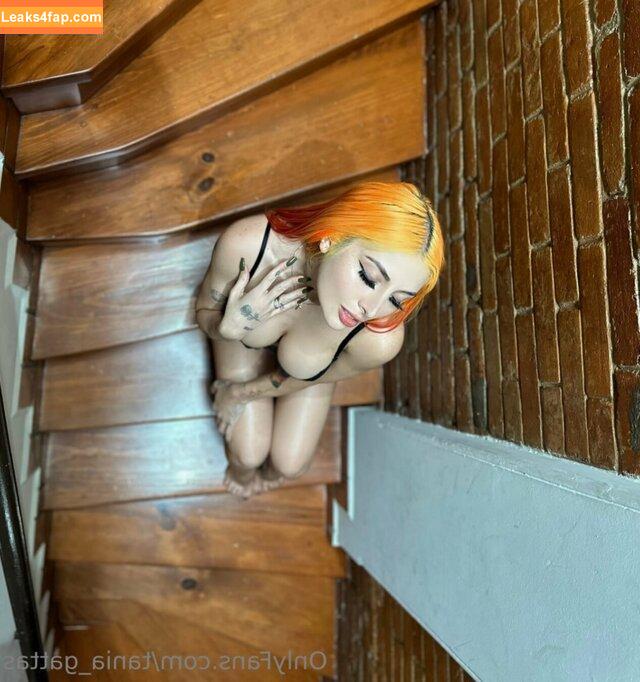 Tania Gattas / taniagattas leaked photo photo #0052