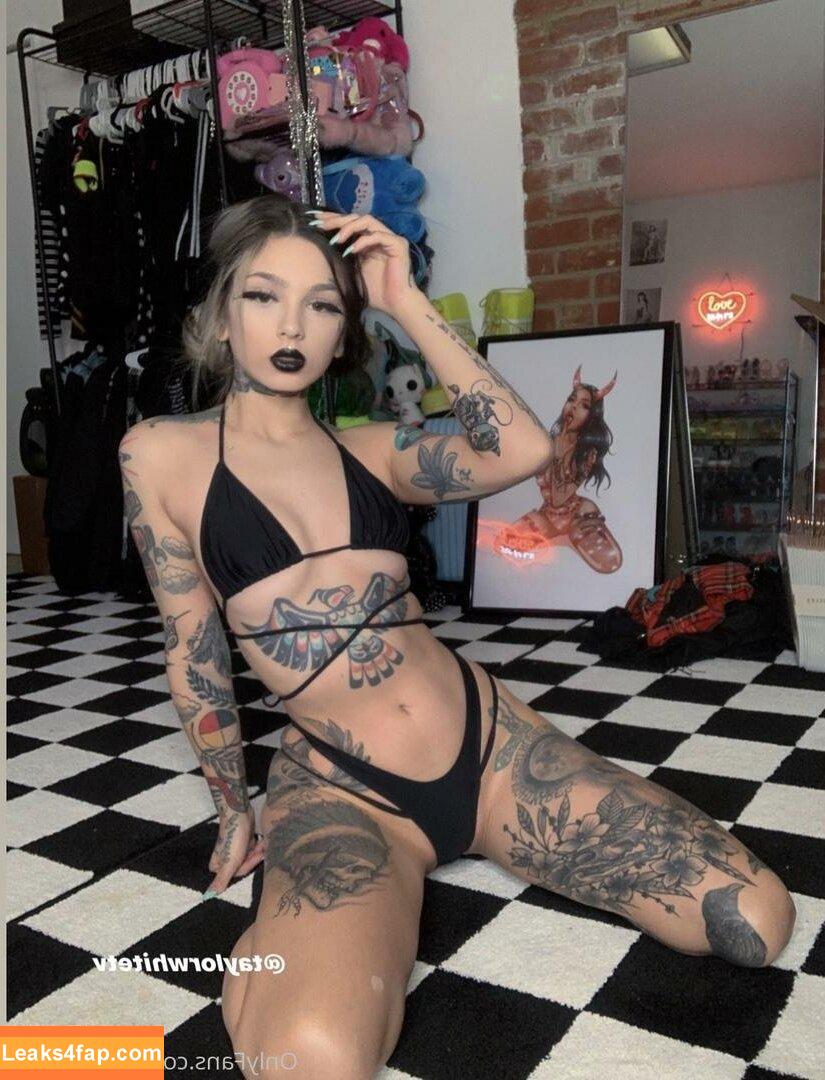 Taylor White / taylorwhitetv / tigerlily.taylor leaked photo photo #0053