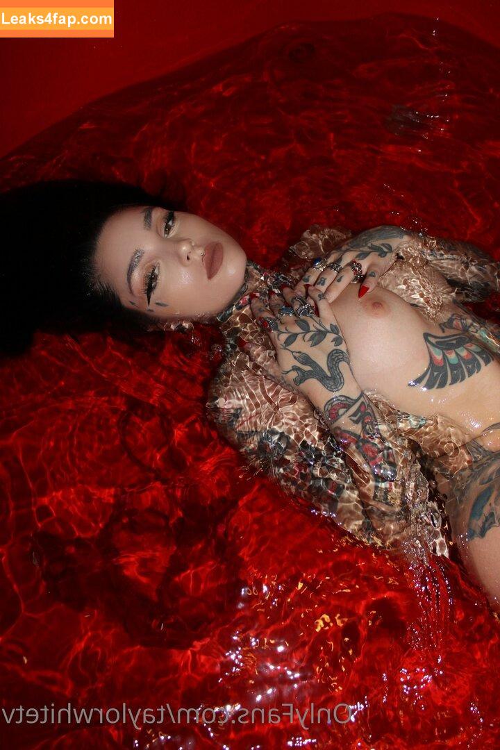 Taylor White / taylorwhitetv / tigerlily.taylor leaked photo photo #0070