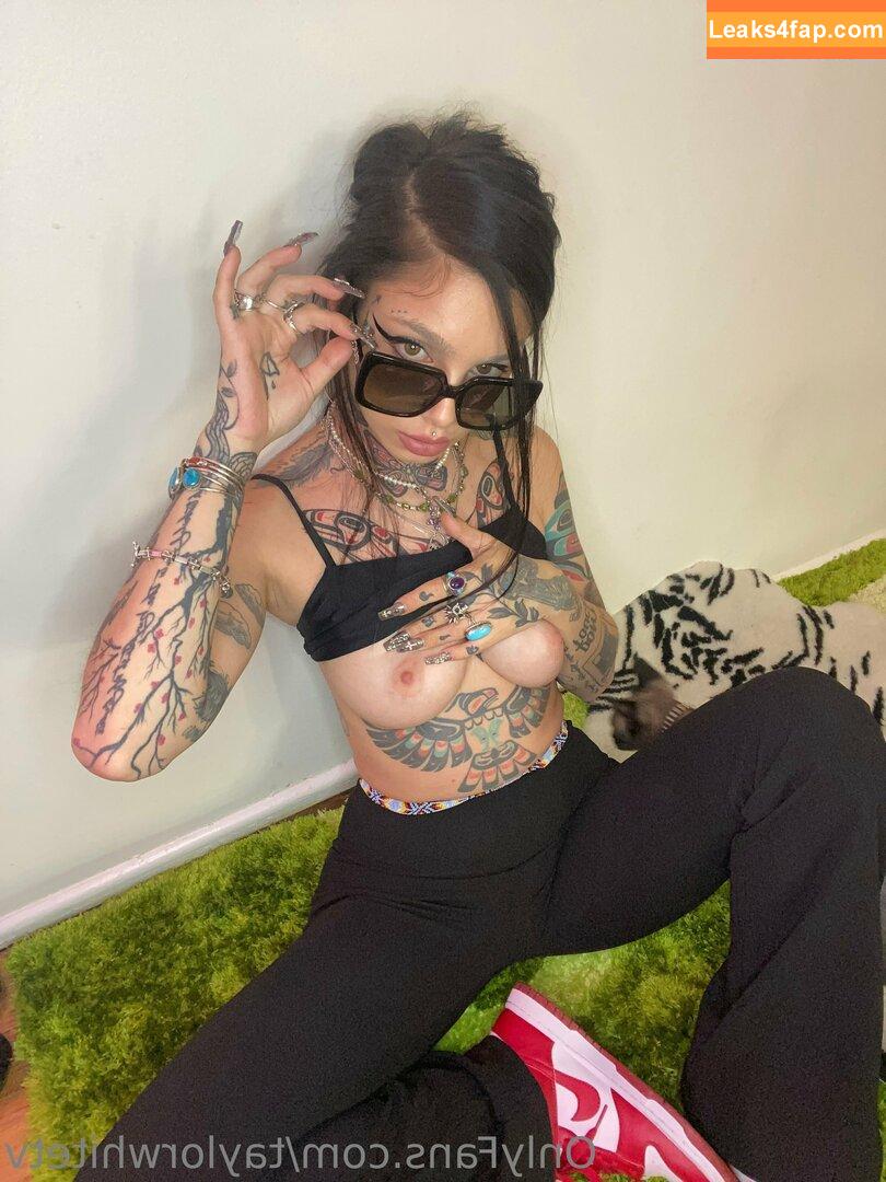 Taylor White / taylorwhitetv / tigerlily.taylor leaked photo photo #0148