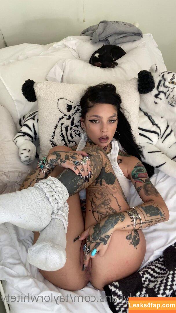 Taylor White / taylorwhitetv / tigerlily.taylor leaked photo photo #0181