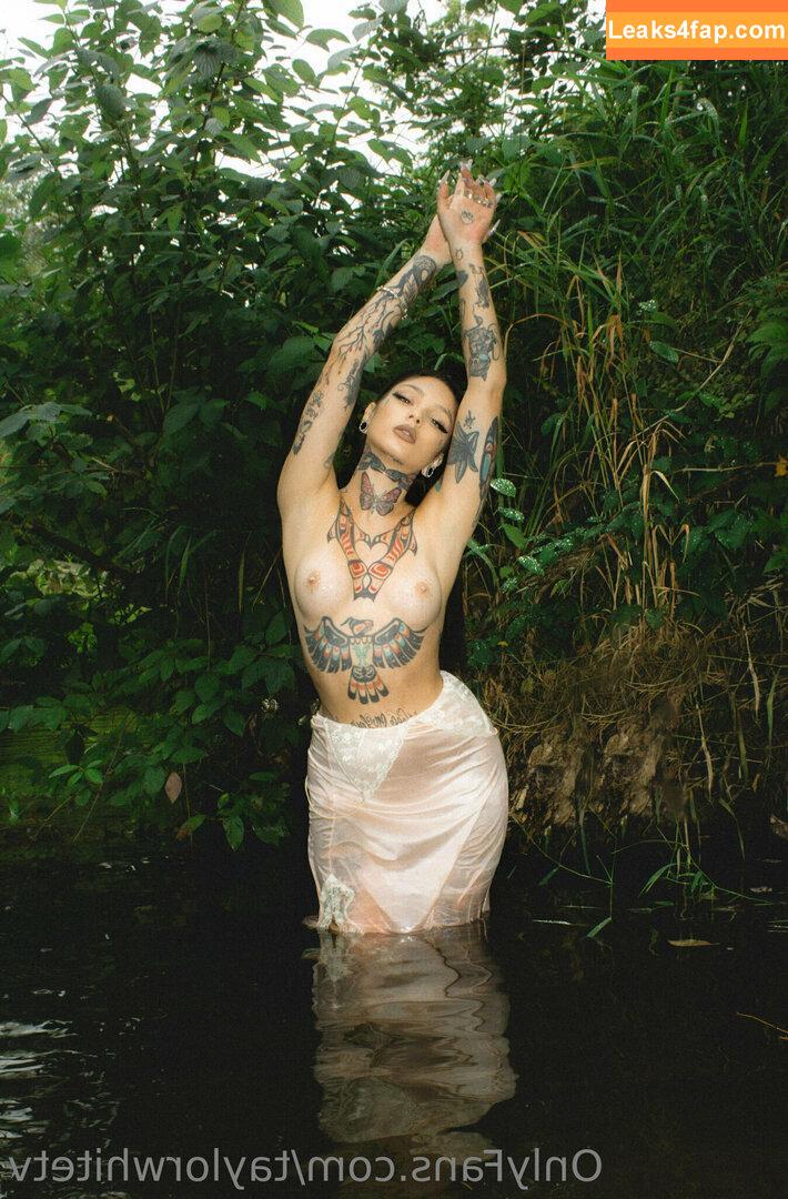 Taylor White / taylorwhitetv / tigerlily.taylor leaked photo photo #0243
