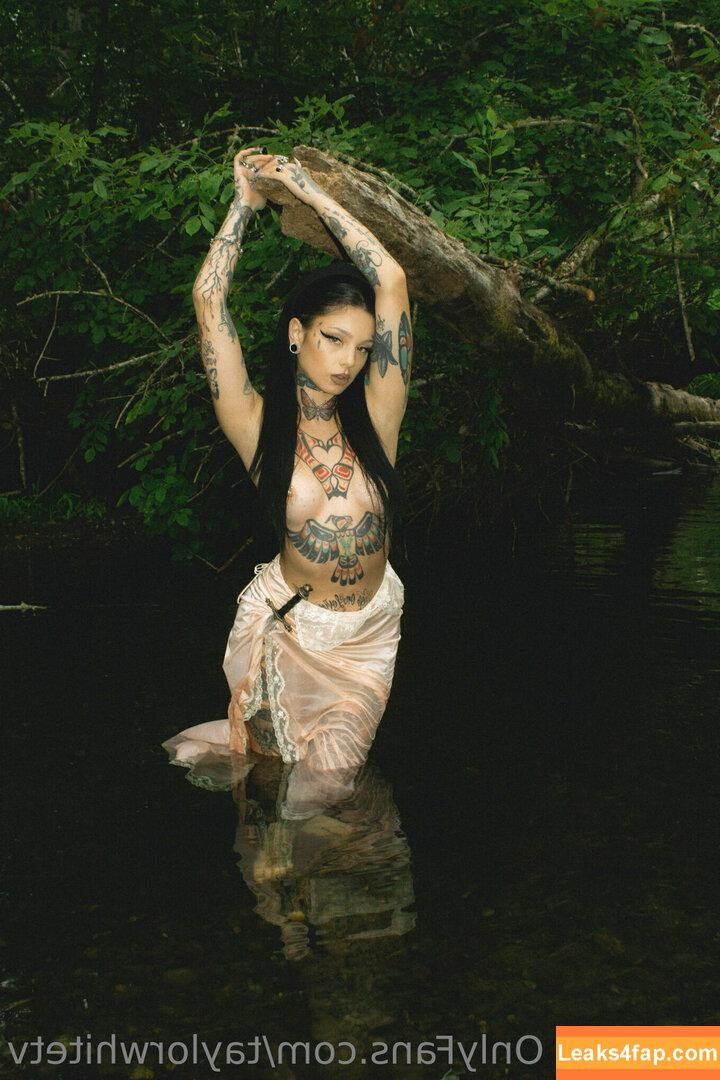 Taylor White / taylorwhitetv / tigerlily.taylor leaked photo photo #0244