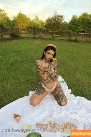Taylor White photo #0008
