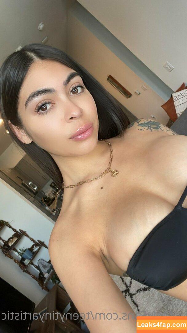 teenytinyartistic /  слитое фото фото #0052