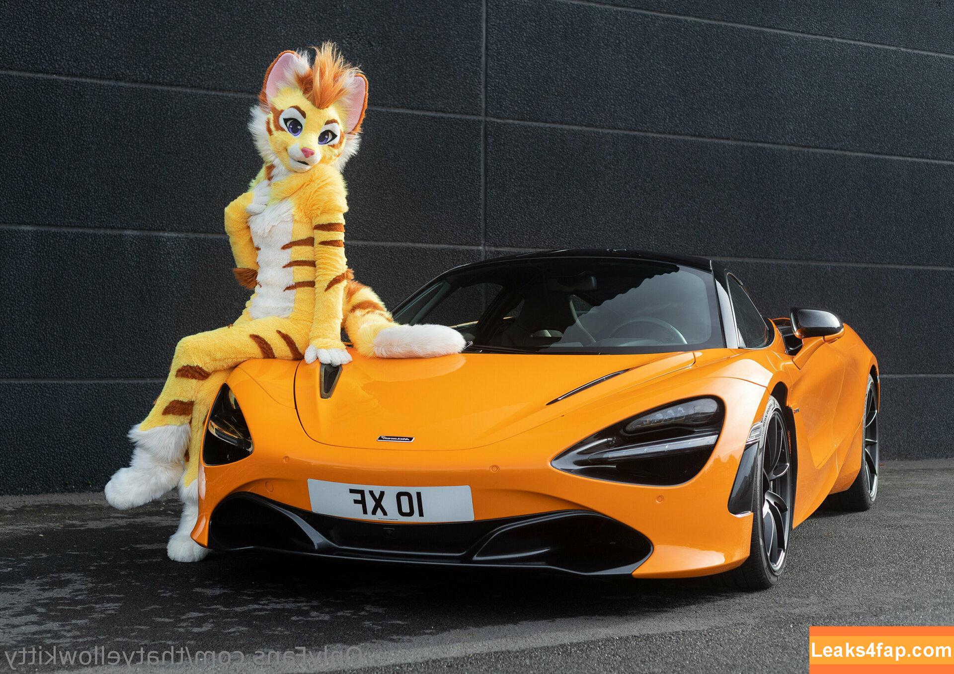 thatyellowkitty /  leaked photo photo #0003