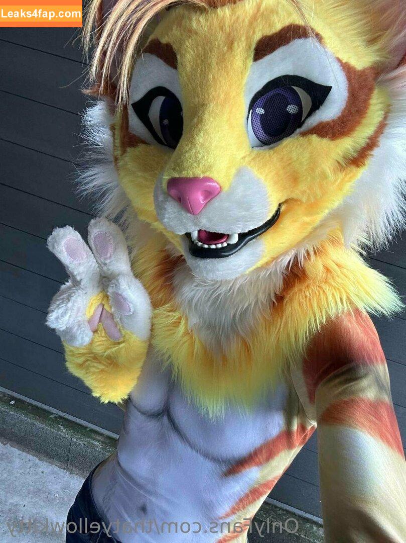 thatyellowkitty /  leaked photo photo #0011