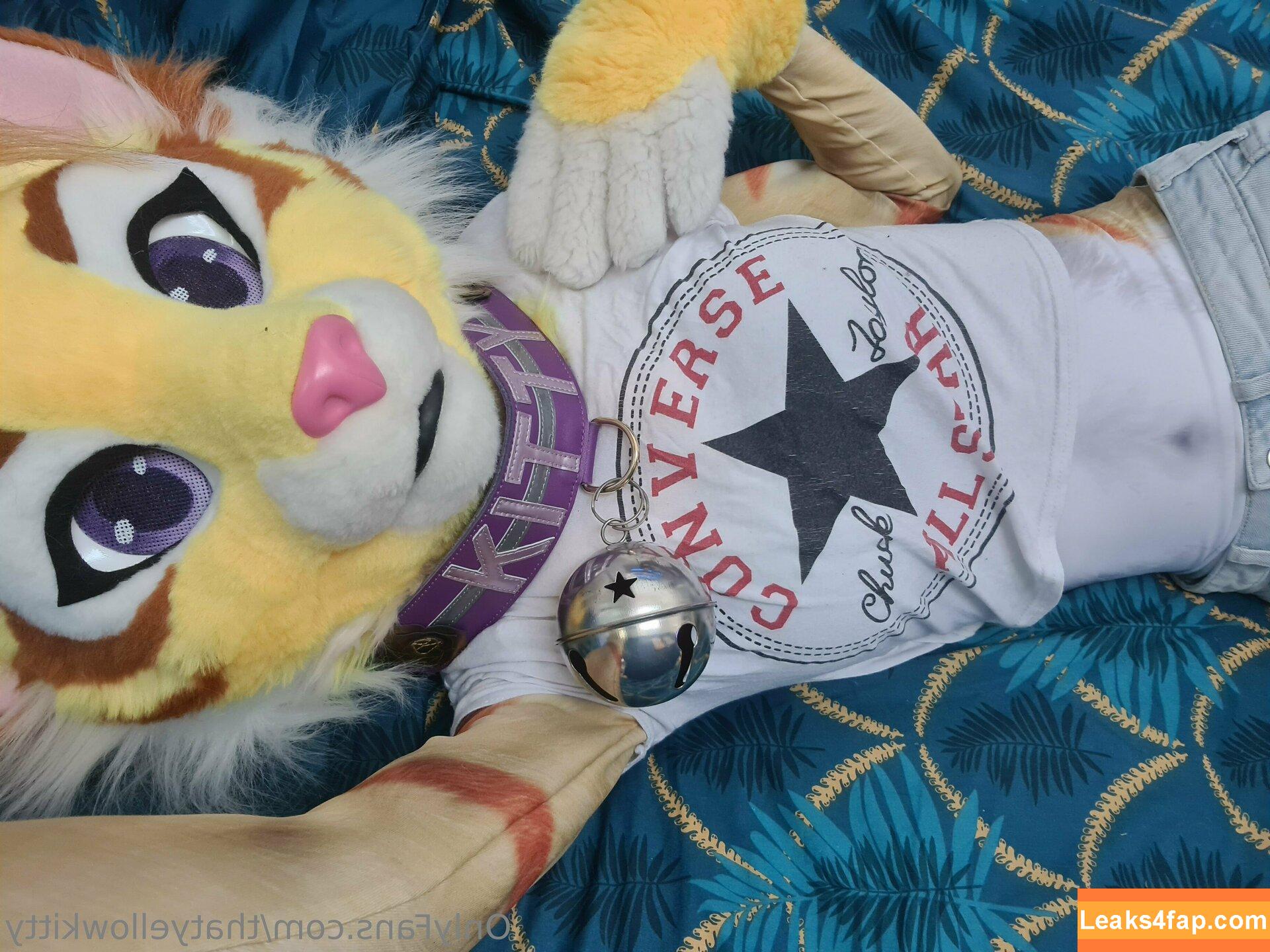 thatyellowkitty /  leaked photo photo #0012