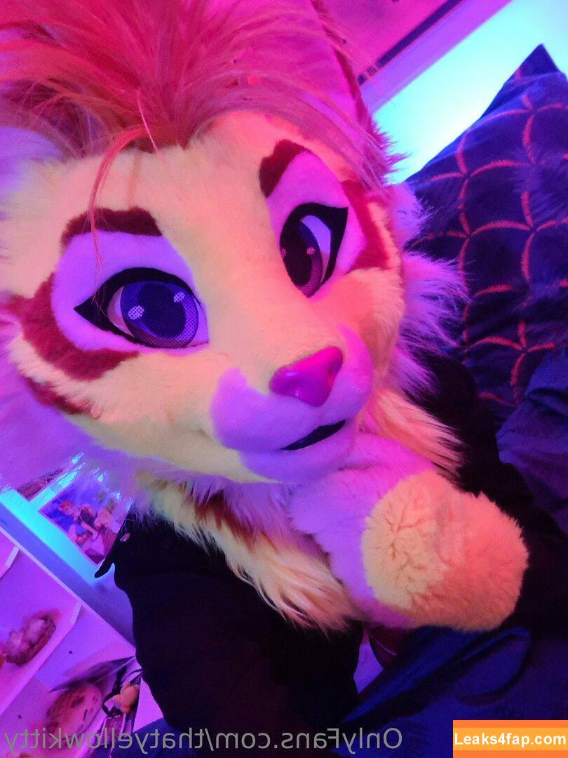 thatyellowkitty /  leaked photo photo #0023