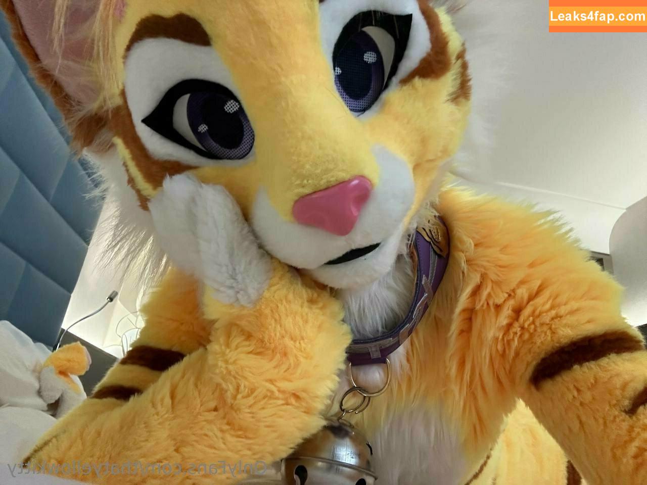 thatyellowkitty /  leaked photo photo #0052
