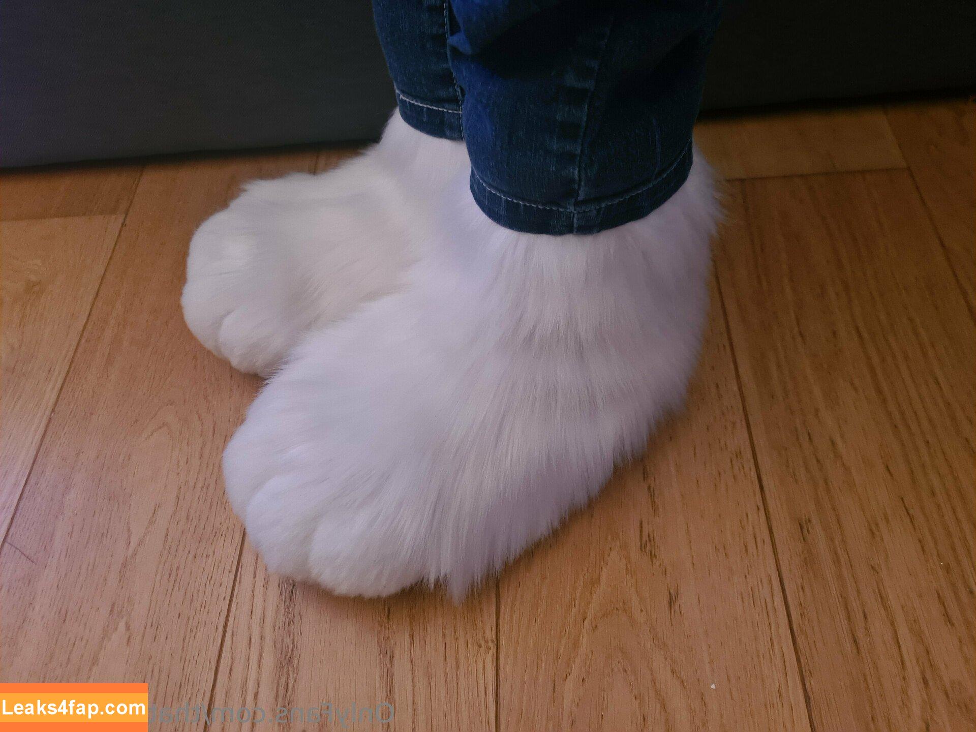 thatyellowkitty /  leaked photo photo #0118