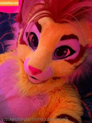 thatyellowkitty photo #0004