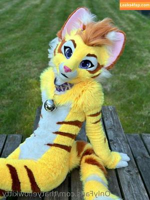 thatyellowkitty photo #0005