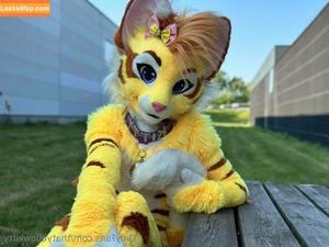 thatyellowkitty photo #0007