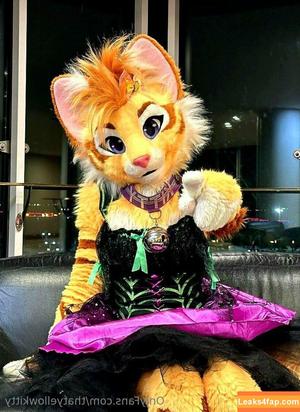 thatyellowkitty photo #0059