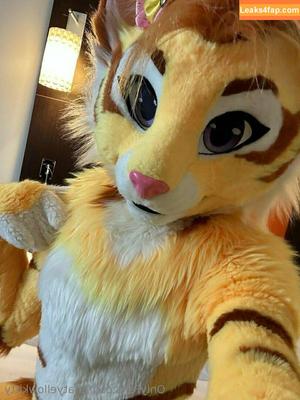 thatyellowkitty photo #0084
