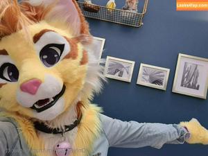 thatyellowkitty photo #0125