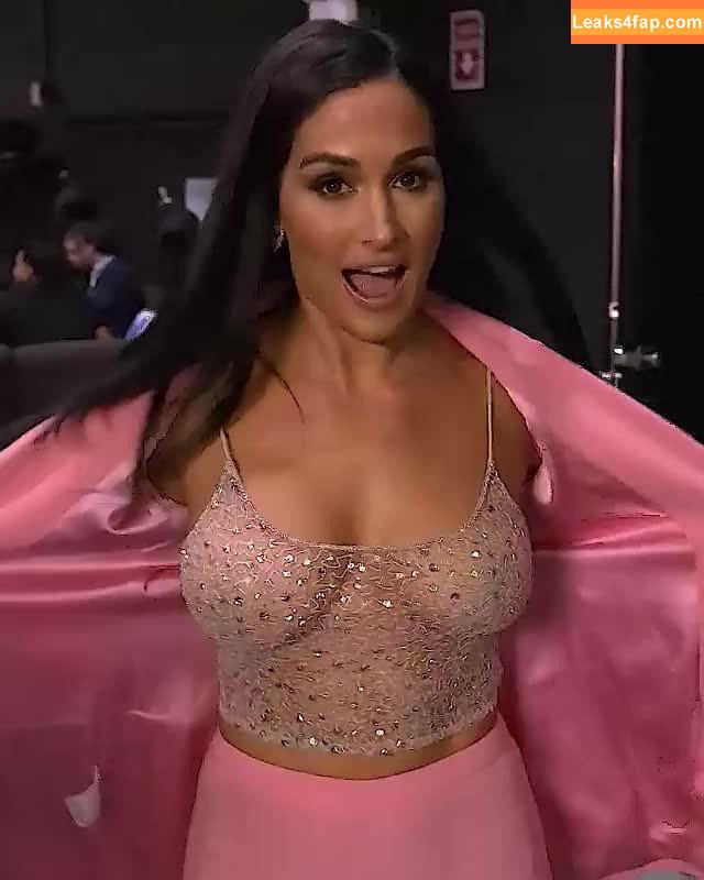 The Bella Twins / Nikki Bella & Brie Bella / thenikkibella слитое фото фото #0025