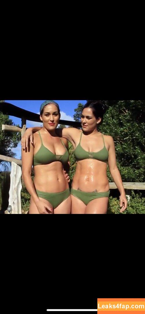 The Bella Twins / Nikki Bella & Brie Bella / thenikkibella слитое фото фото #0029