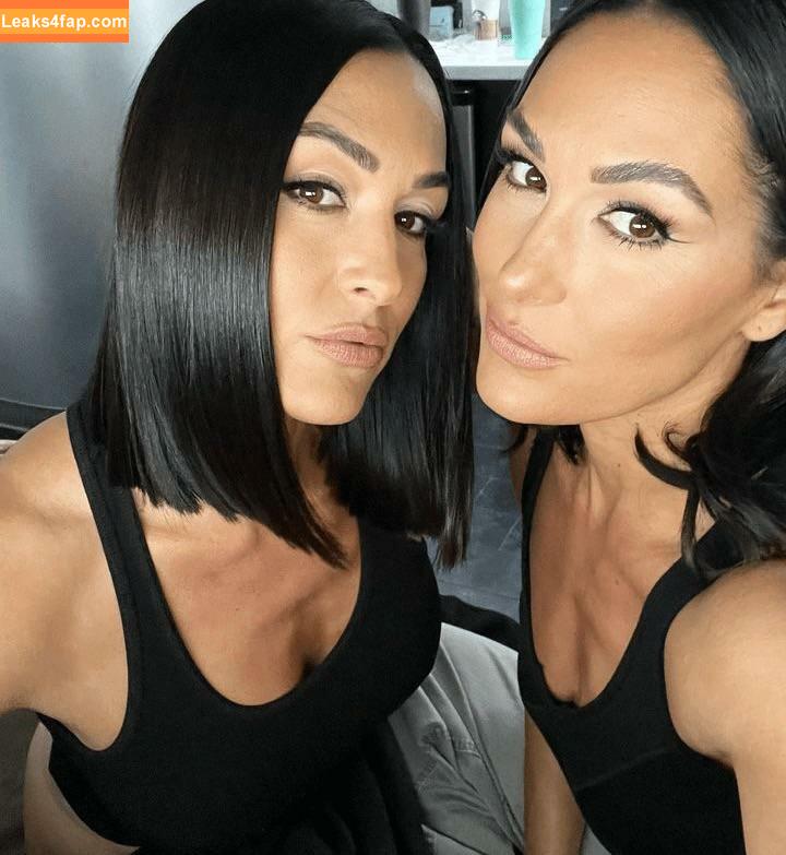 The Bella Twins / Nikki Bella & Brie Bella / thenikkibella слитое фото фото #0091