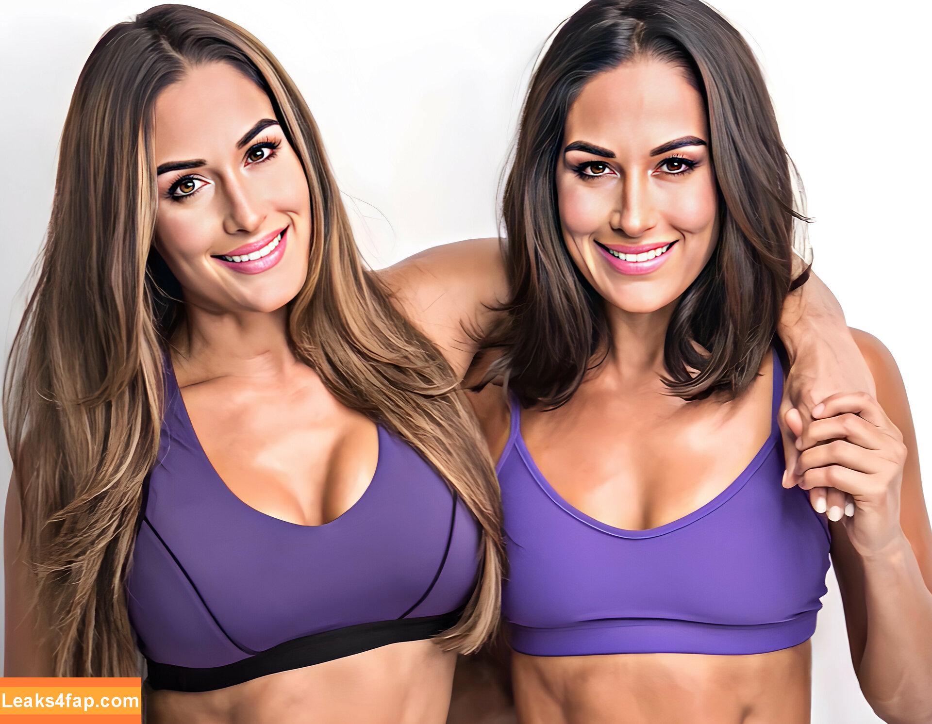 The Bella Twins / Nikki Bella & Brie Bella / thenikkibella слитое фото фото #0102