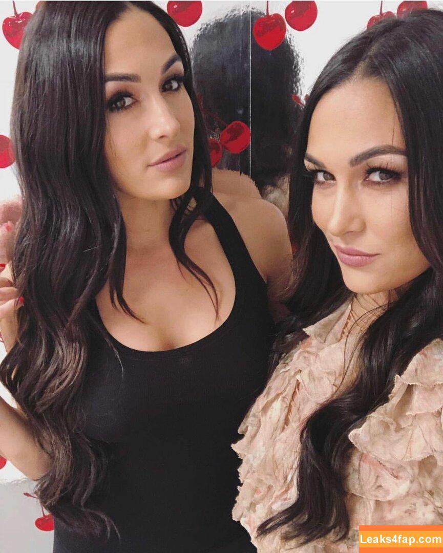 The Bella Twins / Nikki Bella & Brie Bella / thenikkibella слитое фото фото #0128