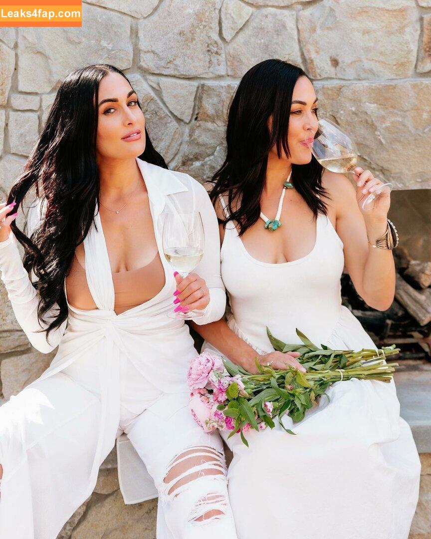 The Bella Twins / Nikki Bella & Brie Bella / thenikkibella слитое фото фото #0146