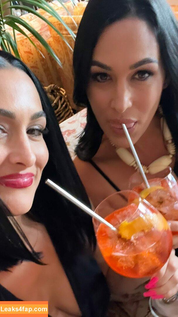 The Bella Twins / Nikki Bella & Brie Bella / thenikkibella слитое фото фото #0149