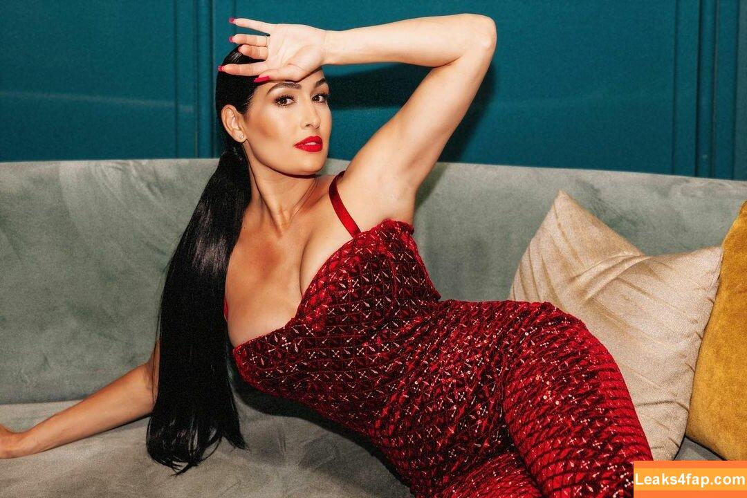 The Bella Twins / Nikki Bella & Brie Bella / thenikkibella слитое фото фото #0209