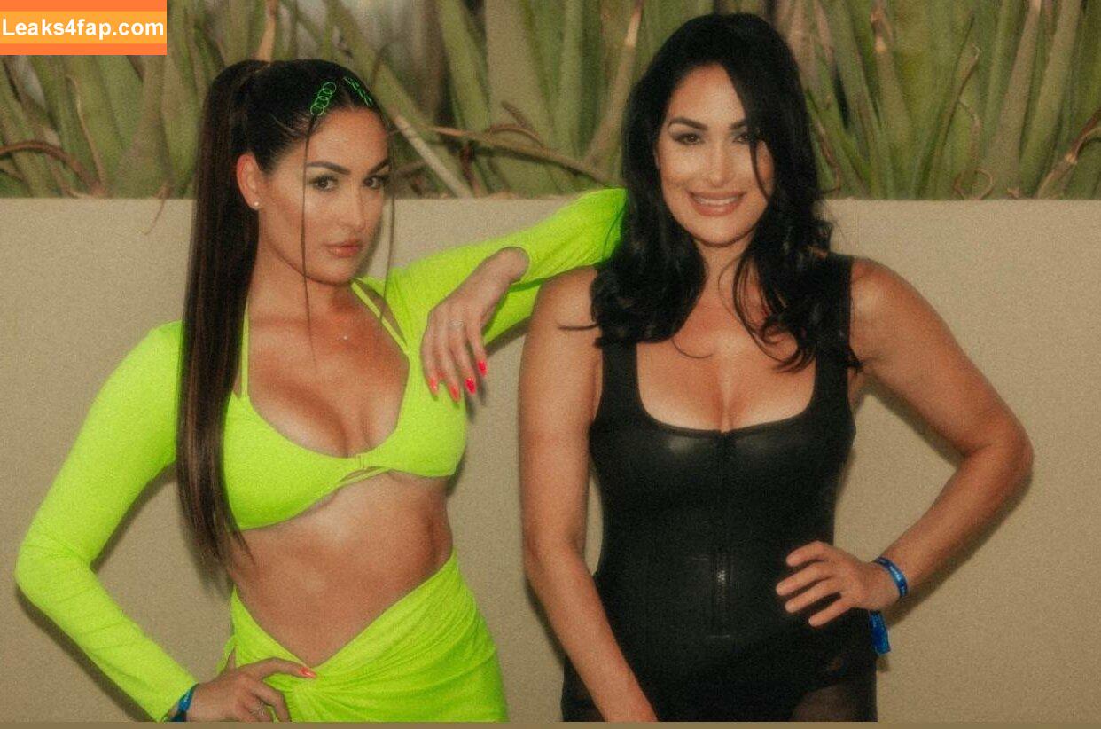 The Bella Twins / Nikki Bella & Brie Bella / thenikkibella слитое фото фото #0228