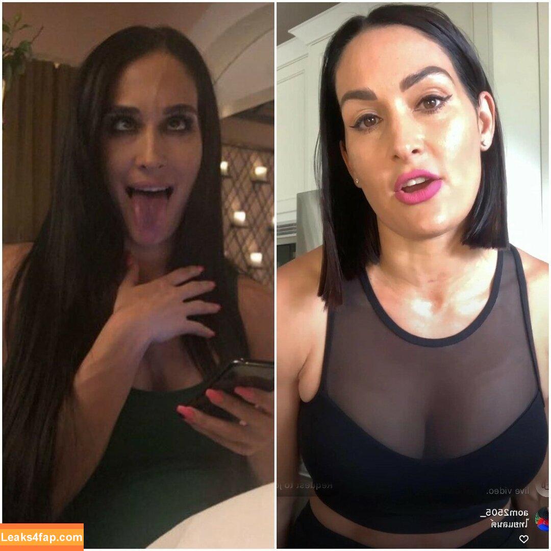 The Bella Twins / Nikki Bella & Brie Bella / thenikkibella слитое фото фото #0286