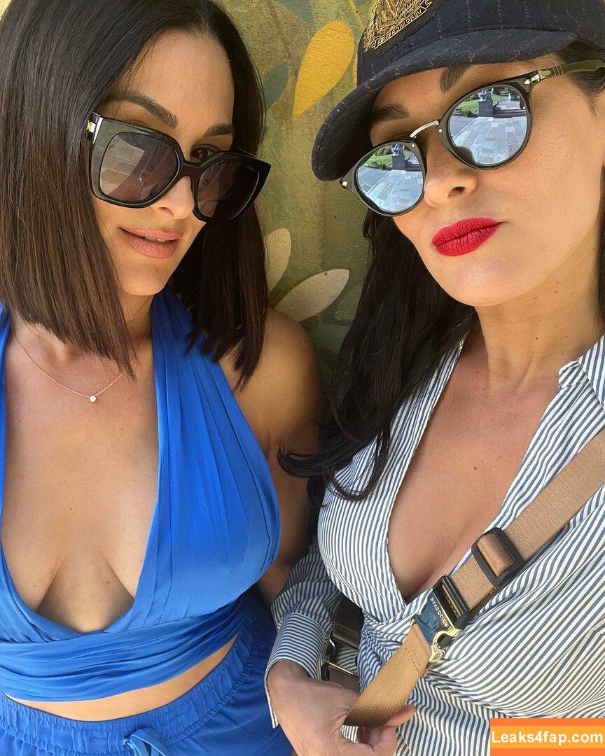 The Bella Twins / Nikki Bella & Brie Bella / thenikkibella leaked photo photo #0363