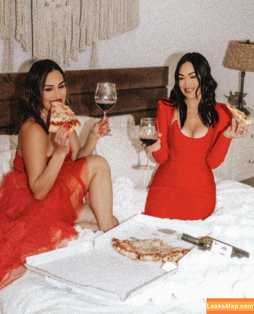 The Bella Twins / Nikki Bella & Brie Bella / thenikkibella слитое фото фото #0392