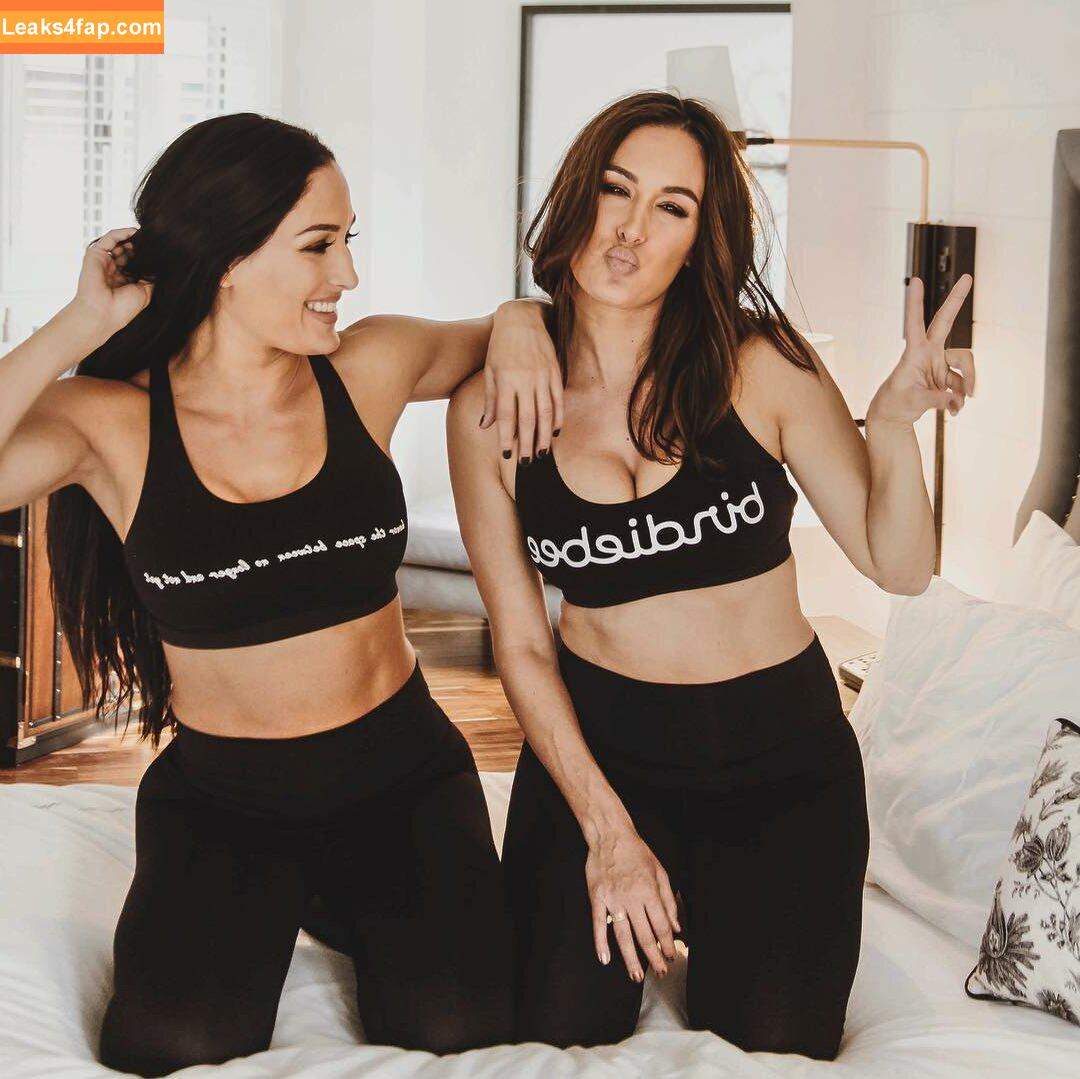 The Bella Twins / Nikki Bella & Brie Bella / thenikkibella слитое фото фото #0403