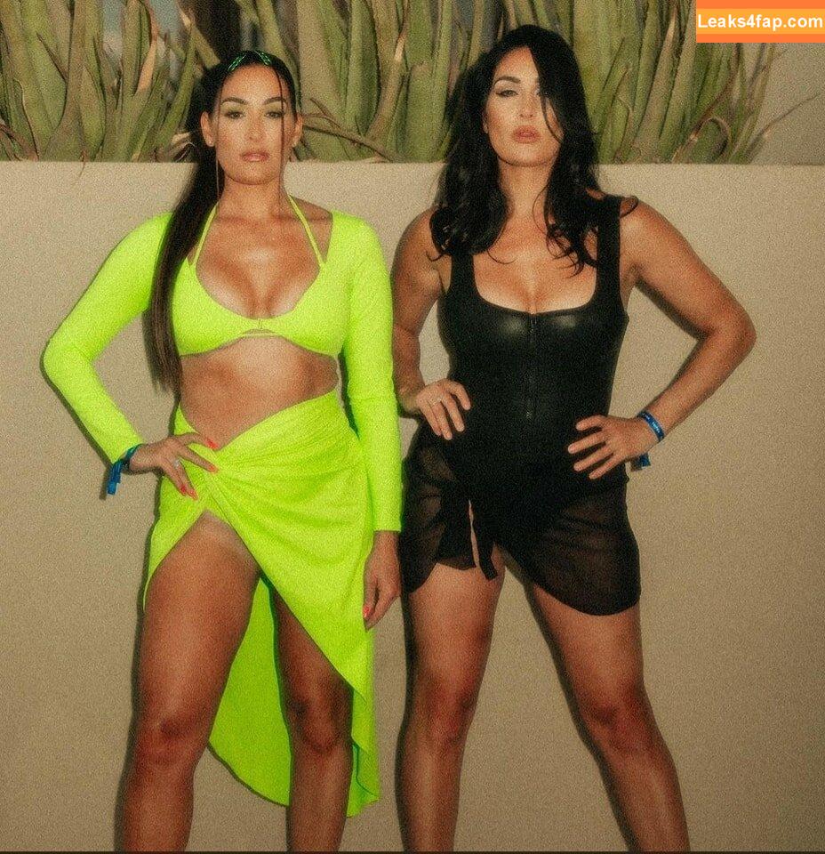 The Bella Twins / Nikki Bella & Brie Bella / thenikkibella слитое фото фото #0418