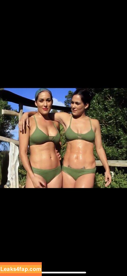 The Bella Twins / Nikki Bella & Brie Bella / thenikkibella слитое фото фото #0447