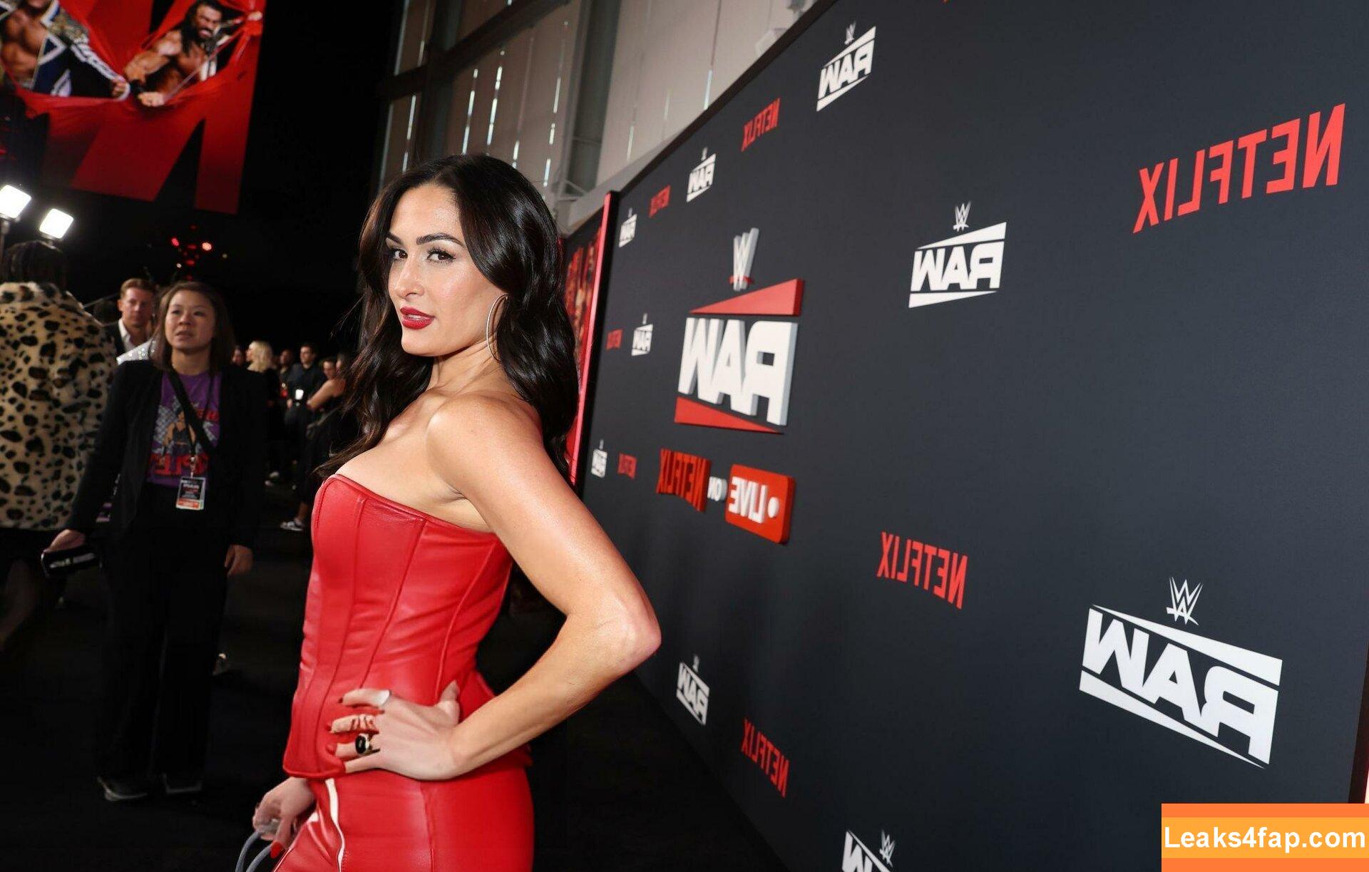 The Bella Twins / Nikki Bella & Brie Bella / thenikkibella leaked photo photo #0493