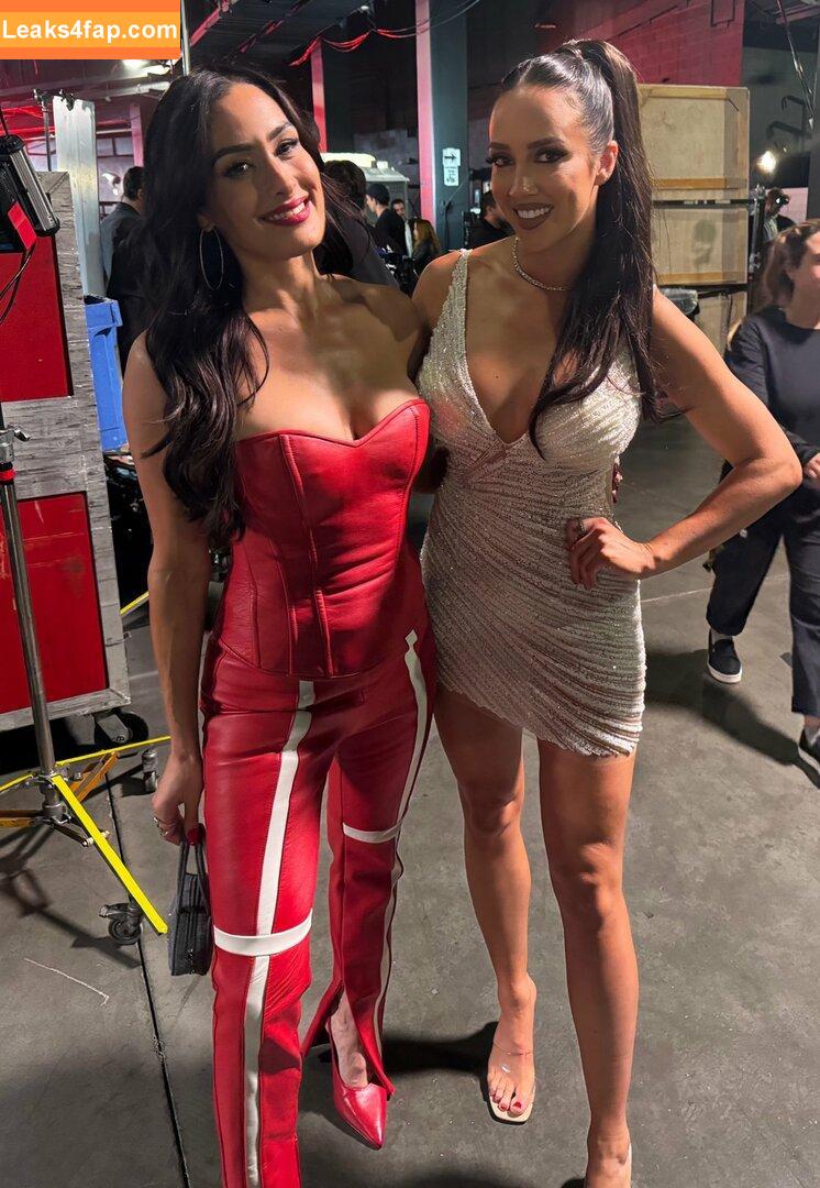 The Bella Twins / Nikki Bella & Brie Bella / thenikkibella leaked photo photo #0494