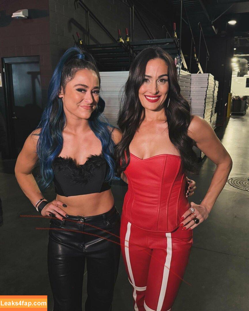 The Bella Twins / Nikki Bella & Brie Bella / thenikkibella слитое фото фото #0496