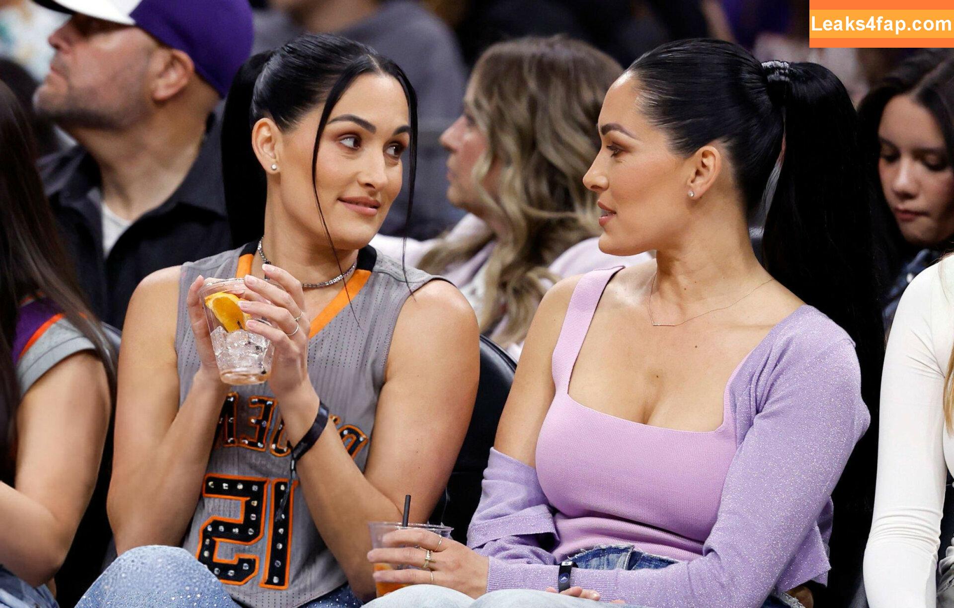 The Bella Twins / Nikki Bella & Brie Bella / thenikkibella слитое фото фото #0500